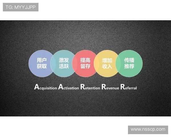 上海排球队战术解析与运营体系构建的深度研究与探讨