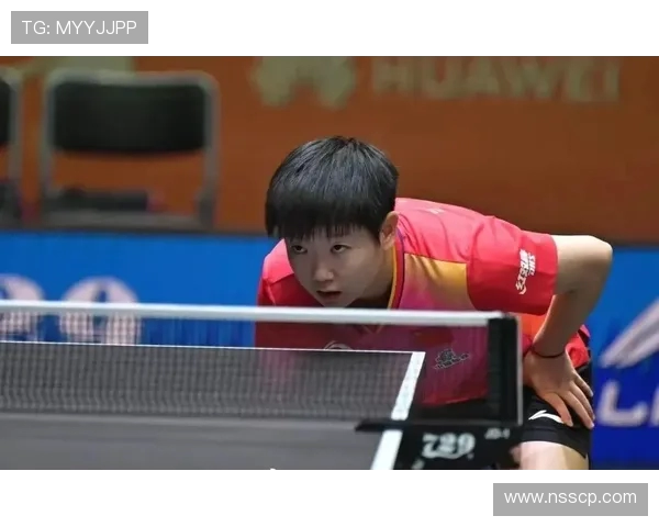 乒乓球传奇陈伟的职业生涯与心路历程深度对话