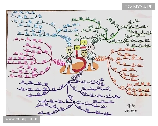 北京排球队团队协作的创新与变革引发热议分析