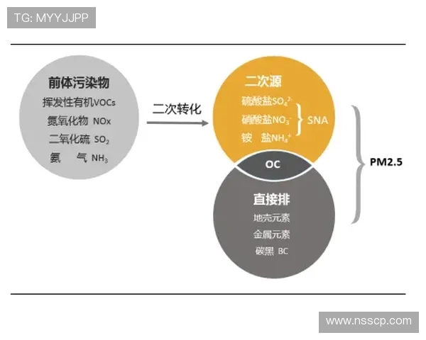 北京极限运动队灵活性分析与发展趋势研究探讨