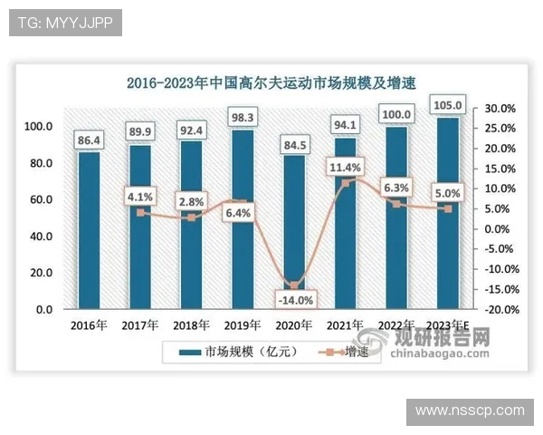 杭州篮球队技术分析与战术创新的深度探讨与展望