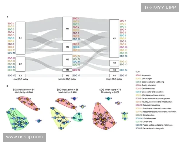 图尔与沙托鲁的较量揭示法乙联赛新动态与球队未来发展方向
