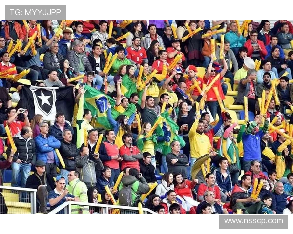 荷兰与瑞典欧洲杯激战在即球迷期待精彩对决与历史交锋