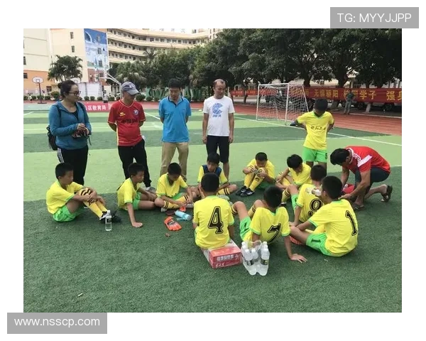 对话杨强：回顾足球生涯中的挑战与成就分享