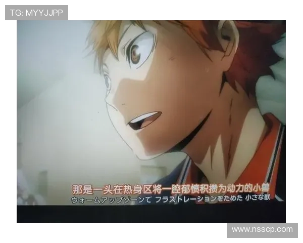 排球新手必看:从零开始的比赛经验与技巧全攻略 排球新手必看:从零开始的比赛经验与技巧全攻略