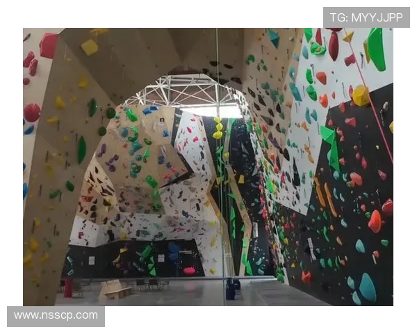 武汉攀岩队在全国攀岩配合排行榜中荣获第十名的佳绩引发关注