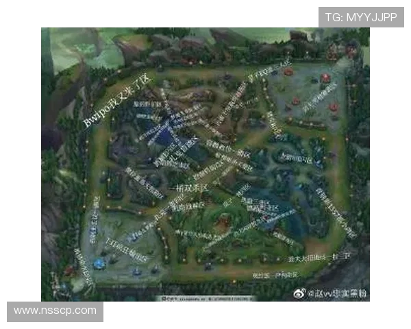 英雄联盟新手必看攻略全方位实力提升入门指南 英雄联盟新手必看攻略全方位实力提升入门指南