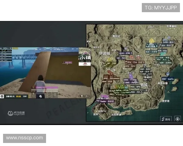 和平精英热议RNG比赛经验引发的争议与讨论分析